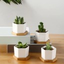 Decorative Flower Pot H1029 5