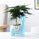 Decorative Llama-Shaped Planter 6