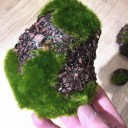 Decorative Moss Stone 6 pcs 2