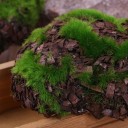Decorative Moss Stone 6 pcs 4