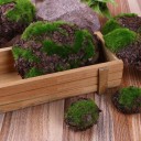 Decorative Moss Stone 6 pcs 5