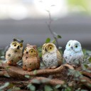 Decorative Owl Miniature Set of 4 3