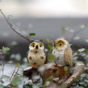 Decorative Owl Miniature Set of 4 5