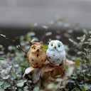Decorative Owl Miniature Set of 4 6