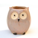 Decorative Owl-Shaped Planter 4