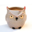 Decorative Owl-Shaped Planter 6