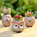 Decorative Owl-Shaped Planter 9
