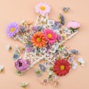 Decorative Rattan Star 9