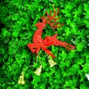 Decorative Reindeer 5