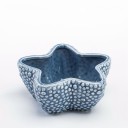 Decorative Shell-Shaped Planter 3