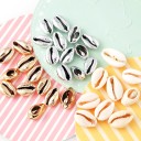 Decorative Shells 20 pcs 5