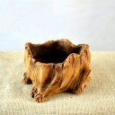 Decorative Stump Planter 2