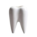 Decorative Tooth-Shaped Pot 1
