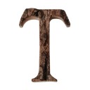 Decorative Wooden Letter C475 20