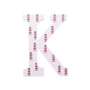 Decorative Wooden Letter C501 9