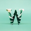 Decorative Wooden Letter C560 23