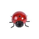 Decorazione da giardino coccinella 4 pezzi 5