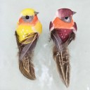 Decorazione uccello 12 pz 6