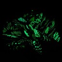 Decorazioni luminose a forma di farfalla 25 pz 2