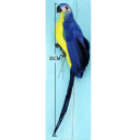 Deko Papagei 35 cm Handgefertigte künstliche Vogeldekoration aus Federn und Schaumstoff Realistisches Ornament für Innen und Außen 2