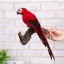 Dekorace papoušek C497 1