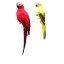 Dekorace papoušek C497 5