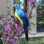 Dekorace papoušek C497 6