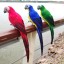Dekorace papoušek 2