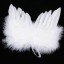 Dekoracja anielskimi skrzydłami 1
