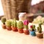 Dekoracyjna miniatura kaktusa 2