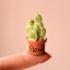 Dekoracyjna miniatura kaktusa 5
