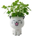 Dekorativ katteblomsterpotte 4