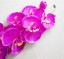Dekoratív mesterséges orchideák 5