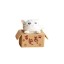 Dekoratív miniatűr macska egy dobozban 5