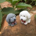 Dekorativ miniatyrhund 3