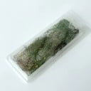 Dekoratív növényzet Csomag mérete 19 x 7,5 cm Miniatűr statikus zöld a dioráma modellezett tájhoz 5
