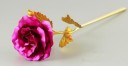 Dekorativ rose J2866 15