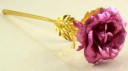 Dekorativ rose J2866 12