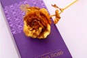 Dekorativ rose J2866 3