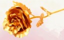 Dekorativ rose J2866 7