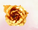 Dekorativ rose J2866 8