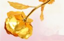 Dekorativ rose J2866 9