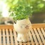 Dekoratív virágcserép macska 5