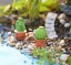 Dekoratívne miniatúra kaktusu 3