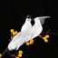 Dekoratívne svadobné holubice 2 ks 4