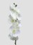 Dekoratívne umelé orchidey 9