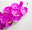 Dekoratívne umelé orchidey 4