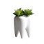 Dekorativní květináč ve tvaru zubu 2