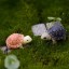 Dekorativní miniatury želvy 2 ks 2