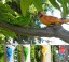 Dekorativní socha papoušek 3